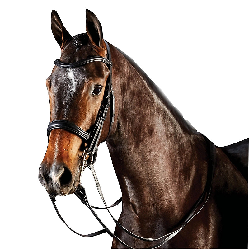 Collegiate Comfitec Double bridle - Full