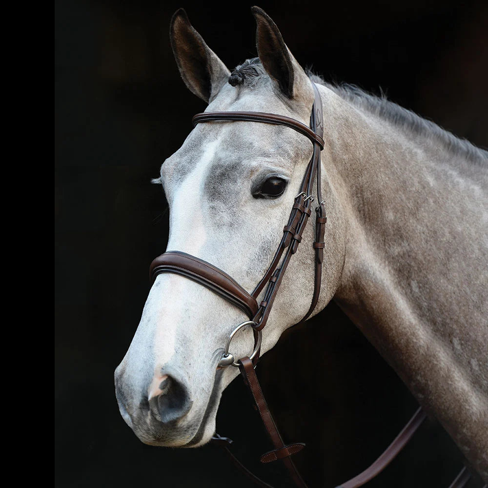 Collegiate Mono Crown Padded Raised Cavesson bridle