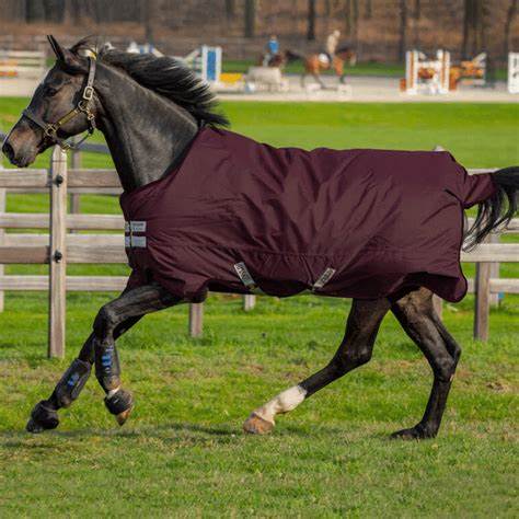 Horseware Amigo Hero 600D Ripstop Lite 50g turnout blanket