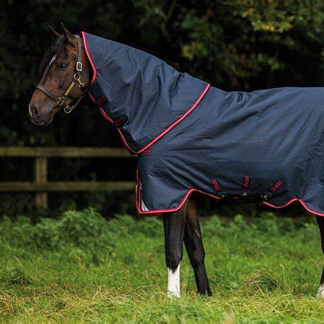 Horseware Amigo Bravo 12 Plus Medium 250g turnout blanket