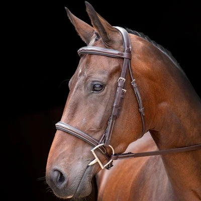 Shires Rossano Amalfi bridle