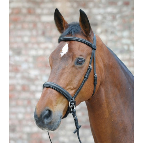 Star Bitless bridle