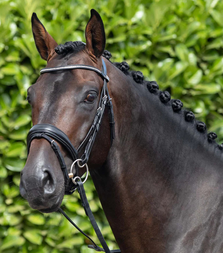 Premier Equine Stellazio Anatomic Snaffle bridle with flash