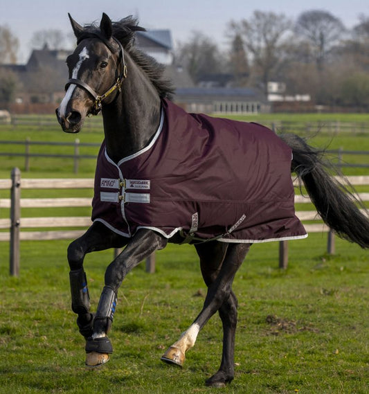 Horseware Amigo Hero 600D Ripstop Lite 50g turnout blanket