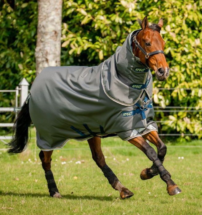 Horseware Amigo Bravo 12 Plus Medium 250g turnout blanket