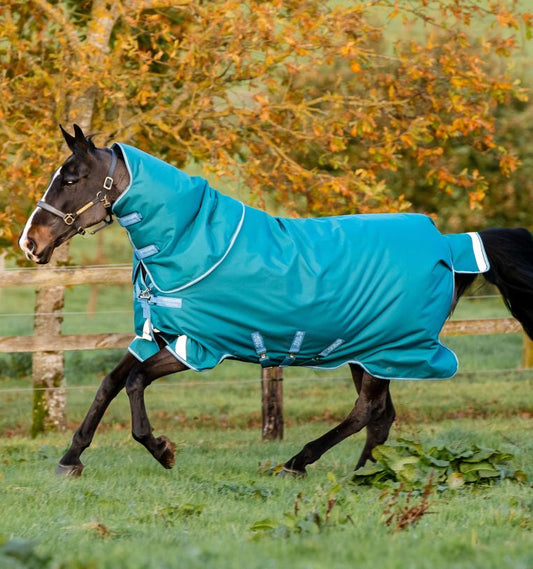 Horseware Amigo Bravo 12 Plus Heavy 400g turnout blanket +$20 SHIPPING