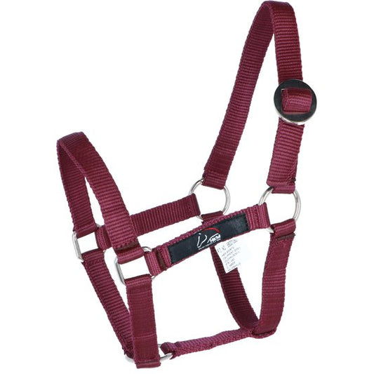 HKM mini shetland nylon halter