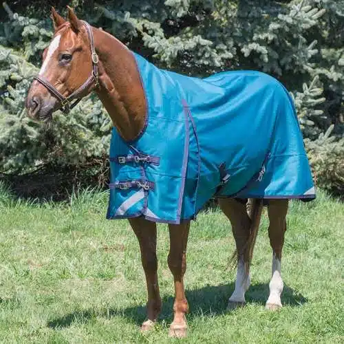 Couverture à col montant Canadian Horseware Maxim Storm 160g