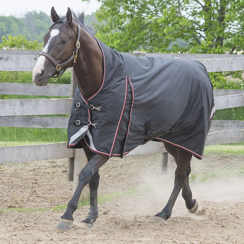 Canadian Horseware Maxim Storm 160g high neck rug