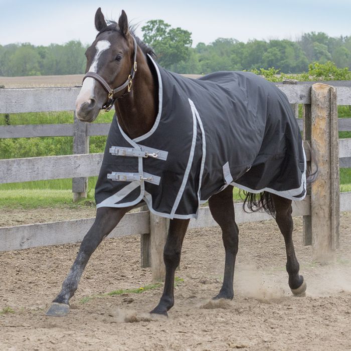 Canadian Horseware Maxim Storm 160g high neck rug