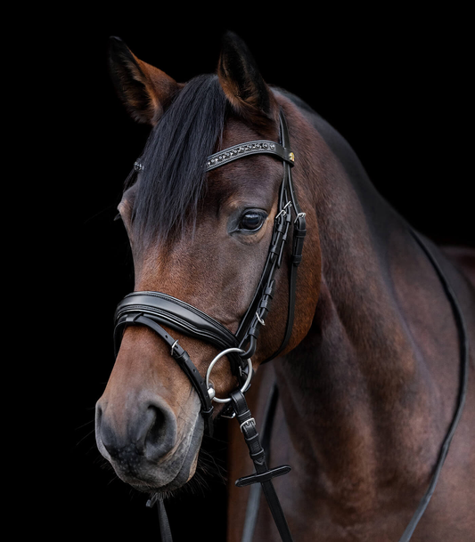 Waldhausen Blackshine S-Line bridle - WB
