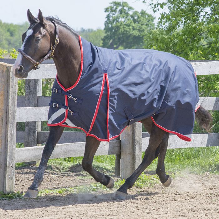 Canadian Horseware Maxim Storm 160g high neck rug