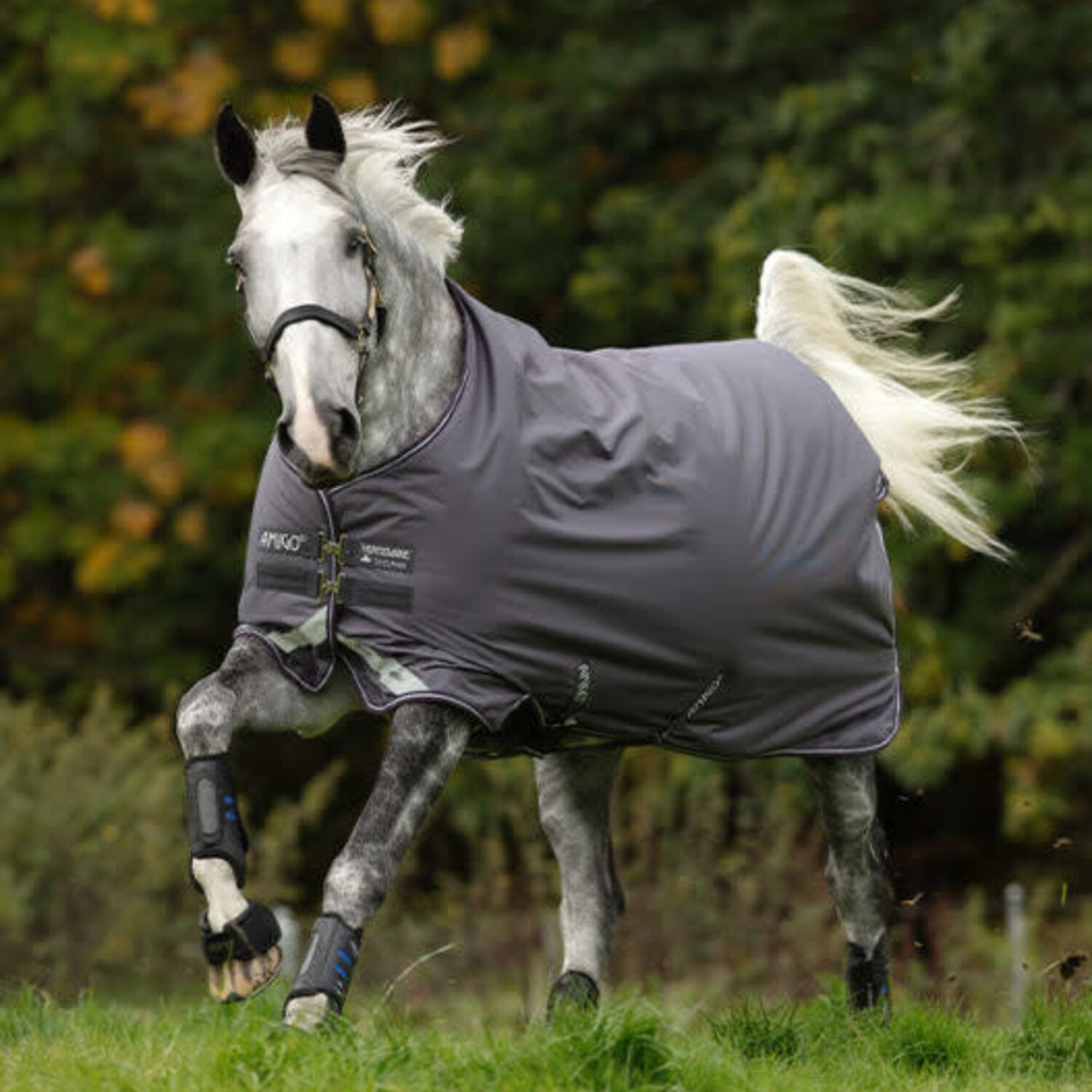 Horseware Amigo Bravo 12 turnout lite