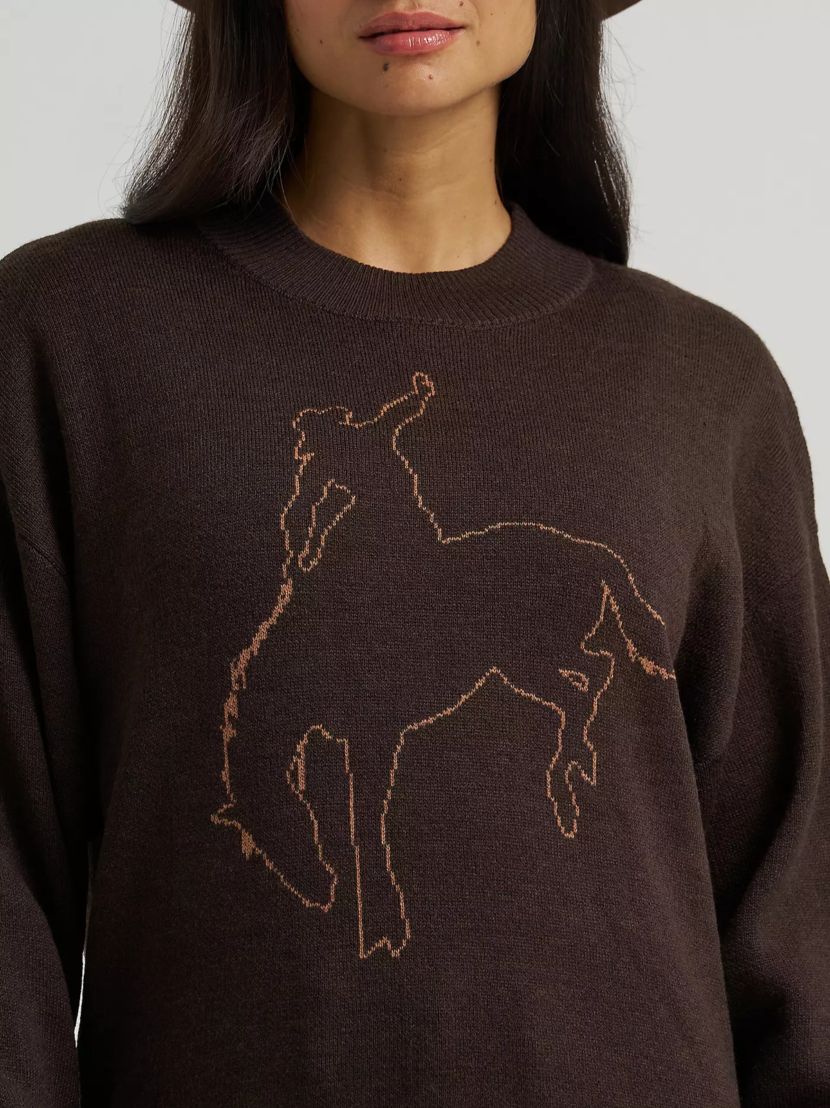 Wrangler Canyon sweater - Brown