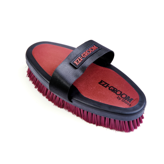 Brosse pour le corps à poignée Ezi-groom