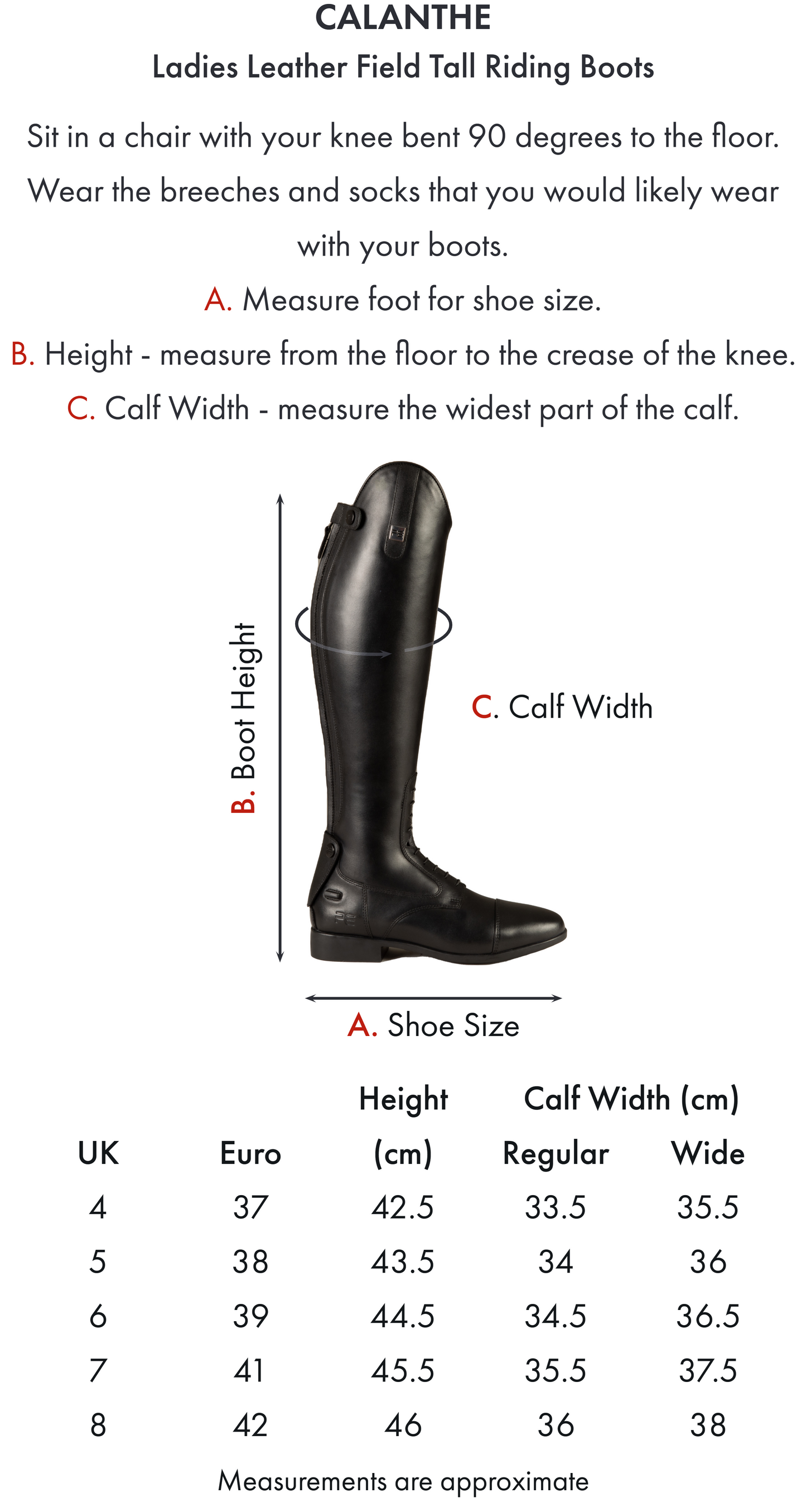Premier Equine Calanthe leather field boots