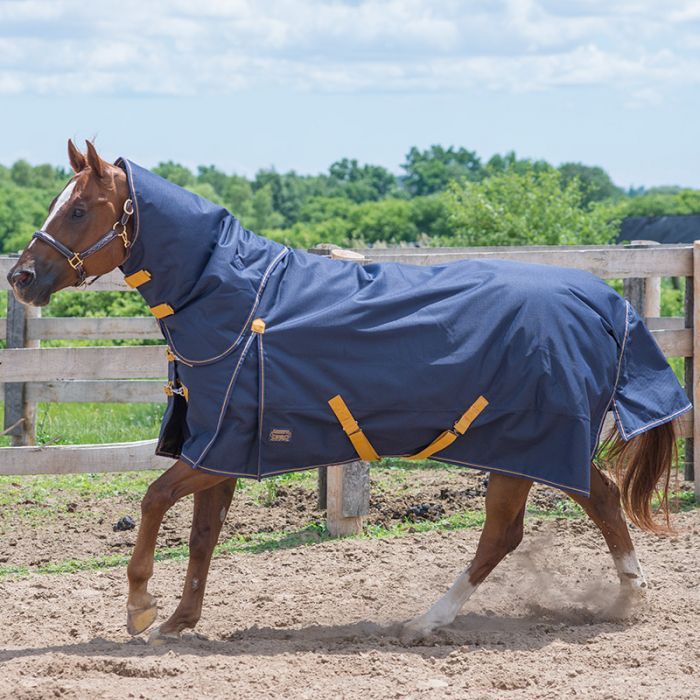 Canadian Horsewear 300g maxim turnout with detachable neck