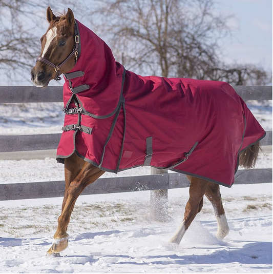 Canadian Horsewear 300g maxim turnout with detachabl neck