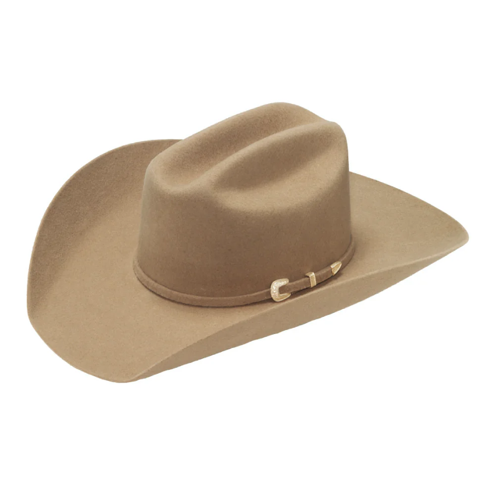 Twister El Paso felt hat 2x (4 more colors)