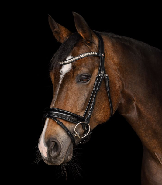 Waldhausen Evermore X-Line bridle - Full