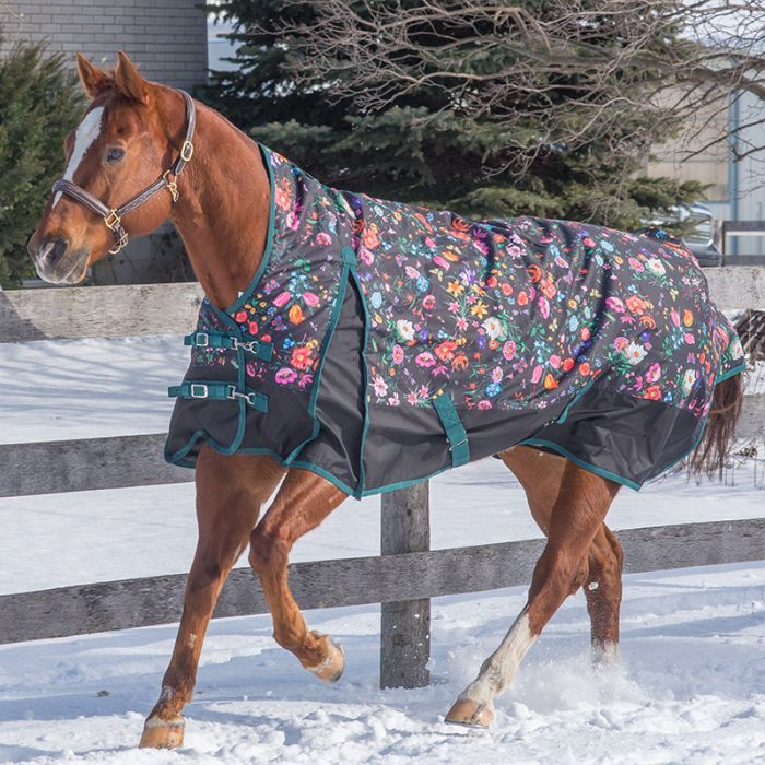 Canadian Horseware Maxim 0g rainsheet