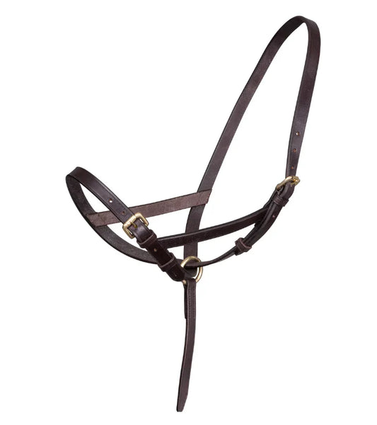 Licol poulain en cuir