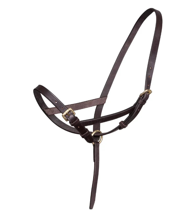 Leather Foal Slip halter