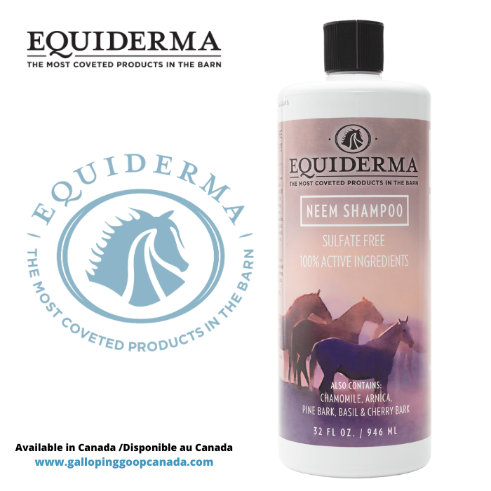 Equiderma neem shampoo