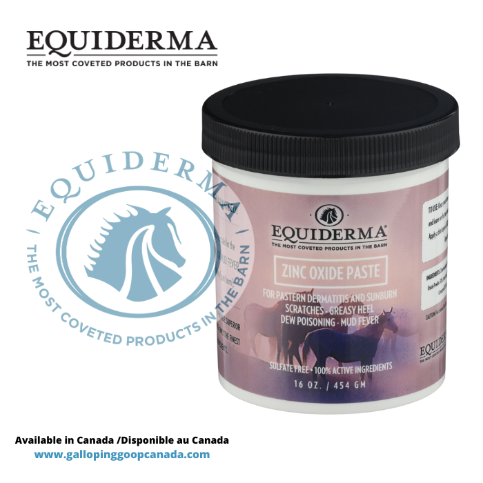 Equiderma zinc oxide paste