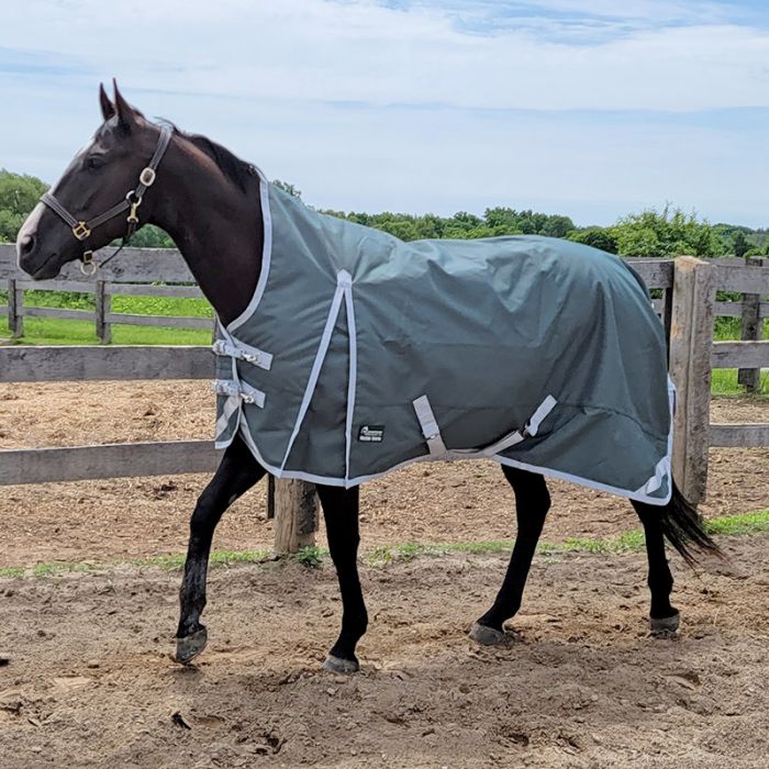 Canadian Horseware Maxim Storm 160g high neck rug