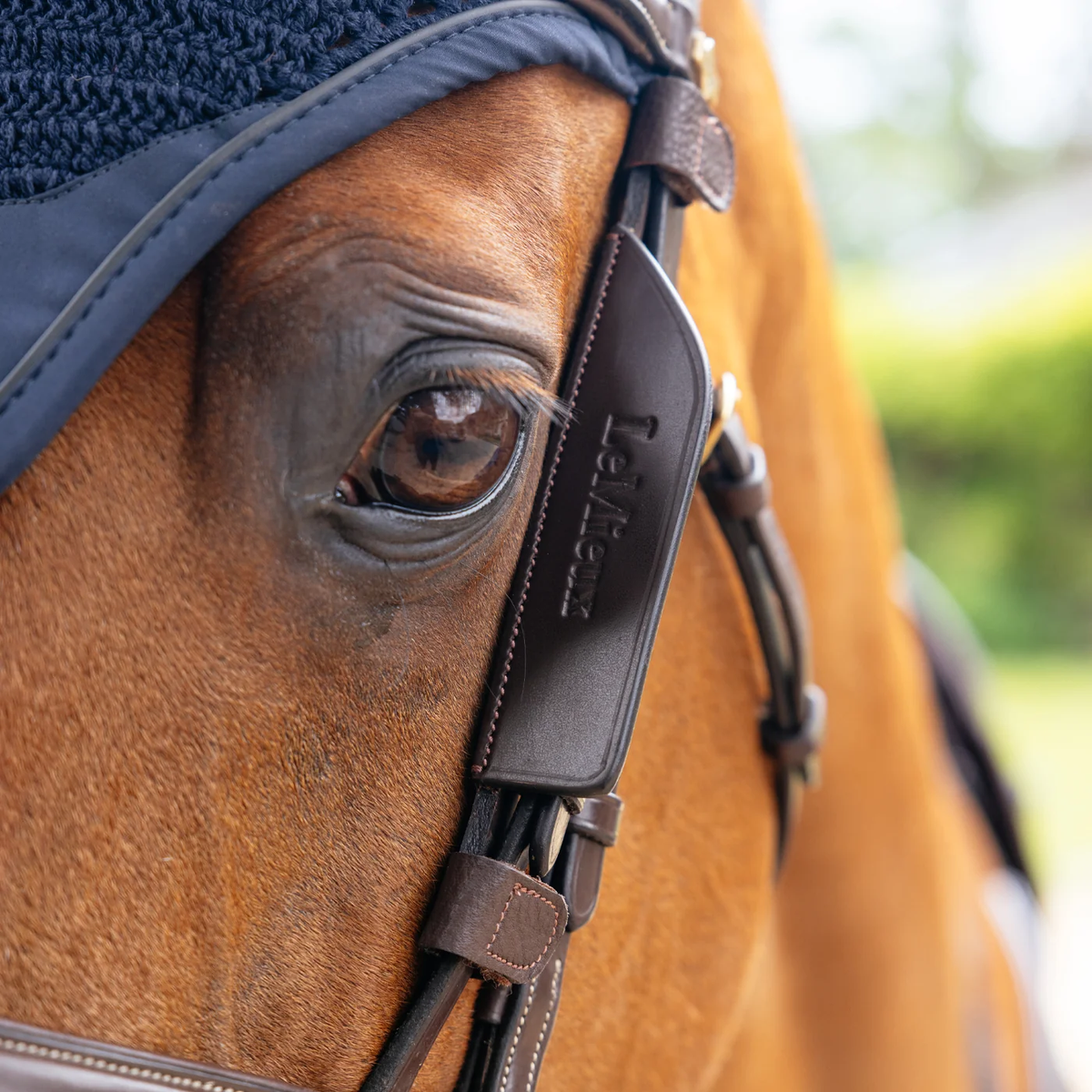 LeMieux leather bridle blinkers - Full