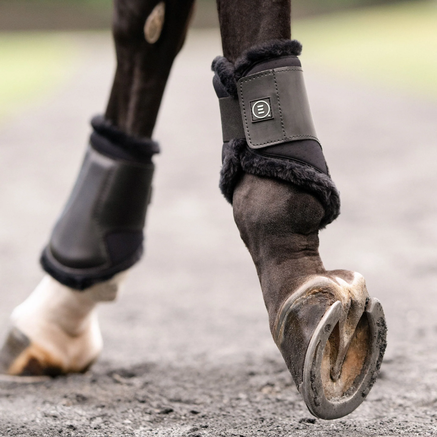 Equifit Everyday essential hind boots with SheepsWool