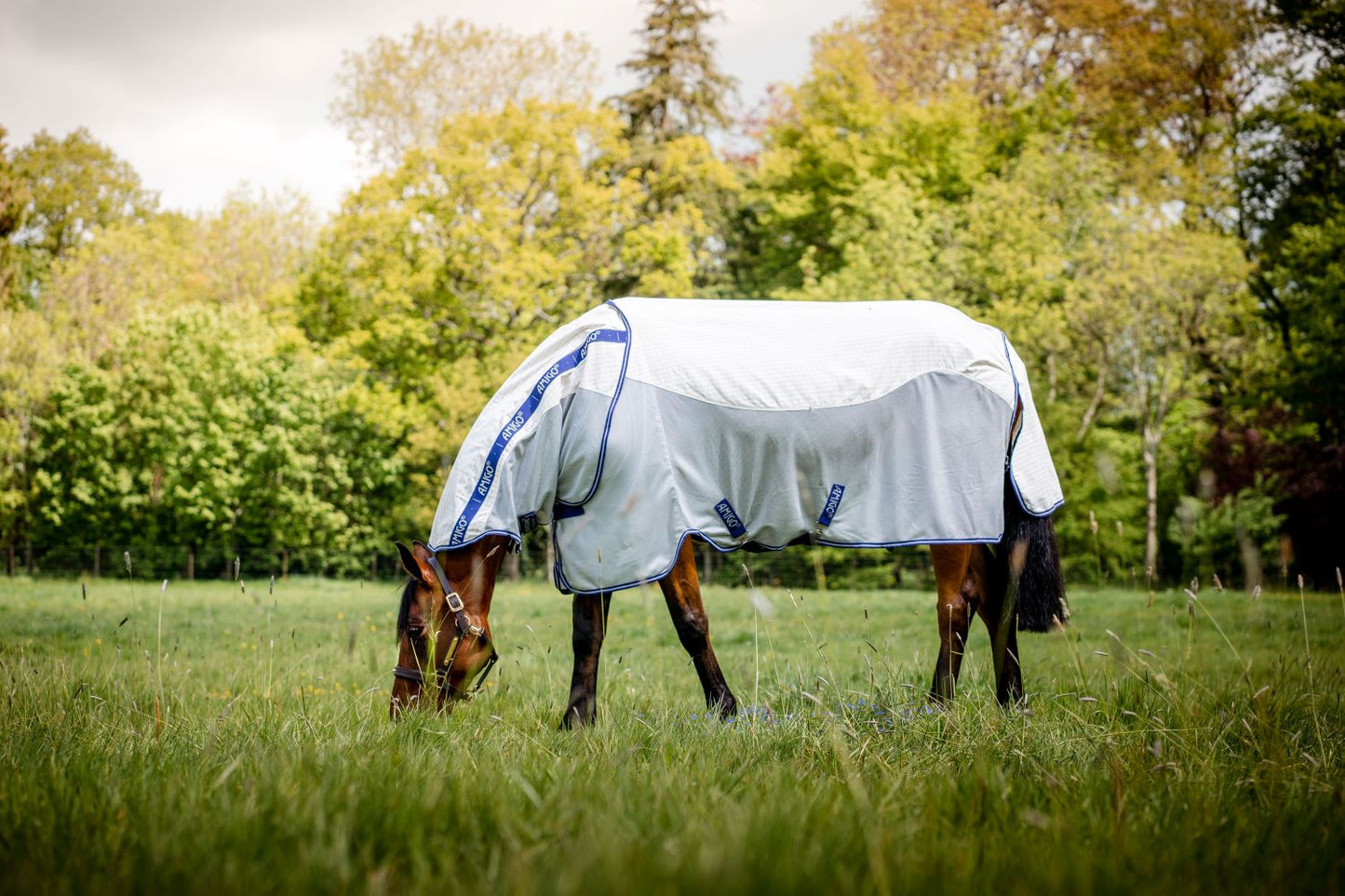 HorseWare Ireland Amigo Airflow - 72"