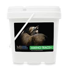 Mad Barn Amino Trace+ - 5 kg