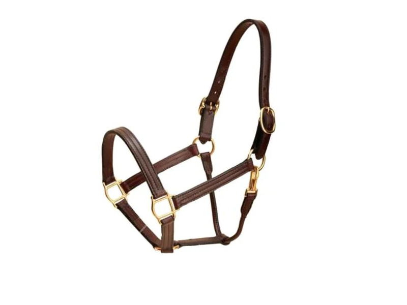 Tory classic leather halter