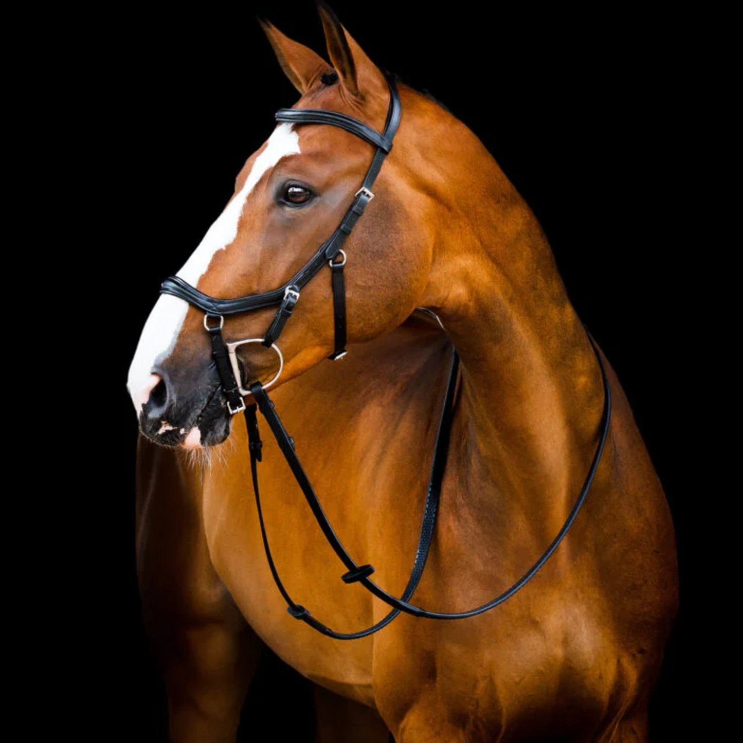Rambo Micklem2 competition bridle