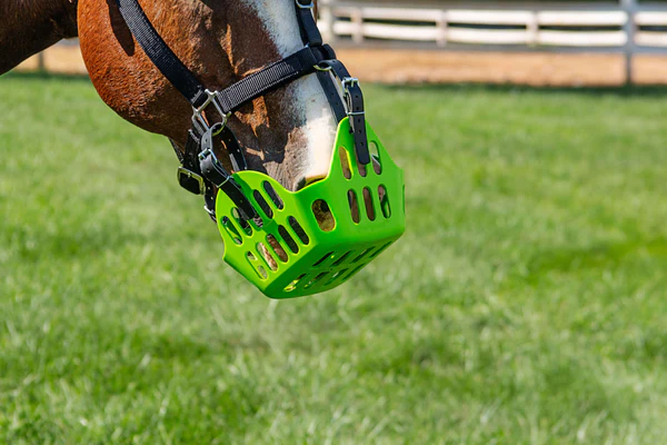 Greenguard grazing muzzle