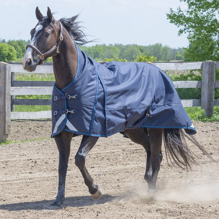 Couverture à col montant Canadian Horseware Maxim Storm 160g