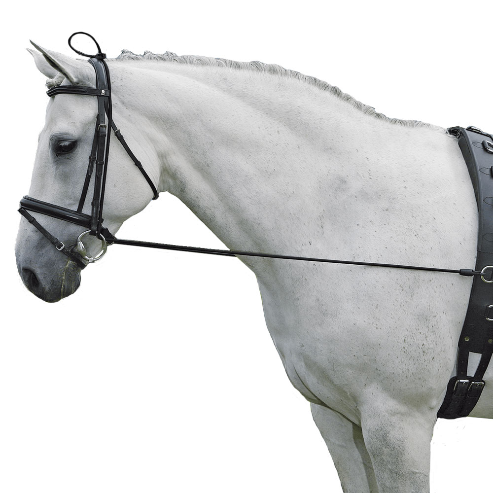 Waldhausen pony neckstretcher