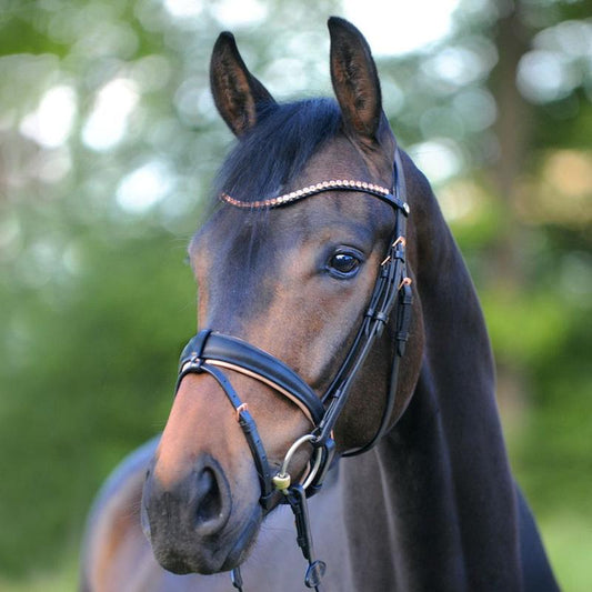 Premiere Brest bridle - Full