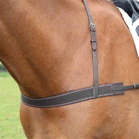 Shires Avignon elastic breastgirth