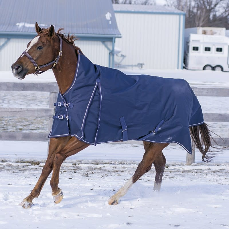 Canadian Horsewear 160g highneck winter blanket