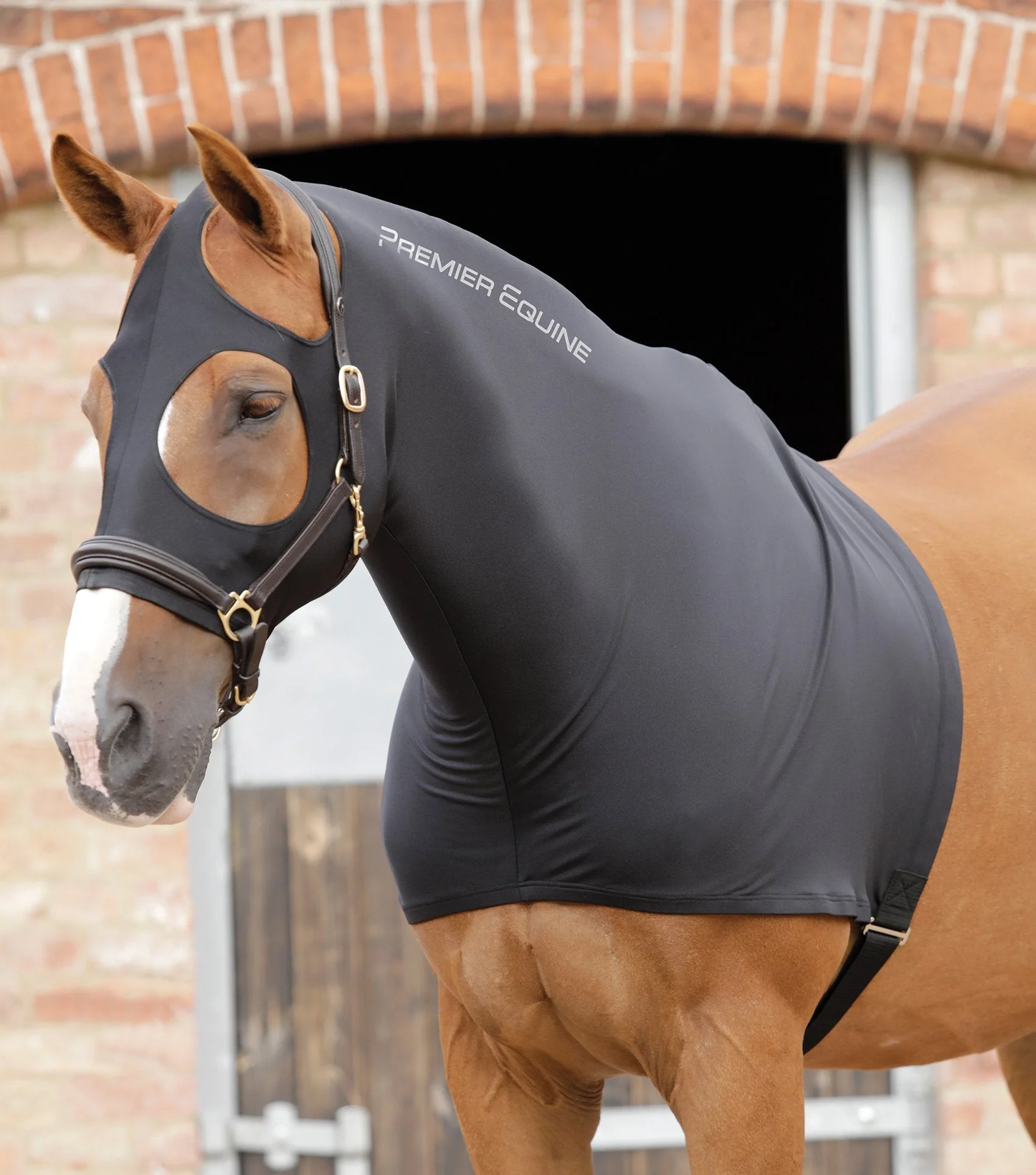 Cagoule en lycra extensible Premier Equine