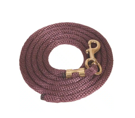 Ger-ryan poly 10' lead rope with brass plated snap