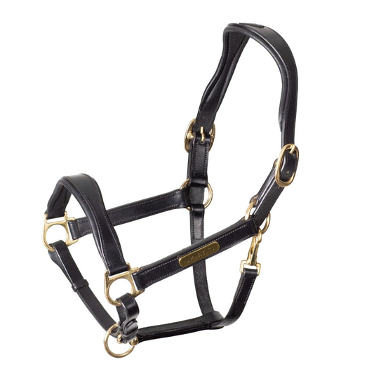 Velociti Gara Rapida cushioned leather headcollar