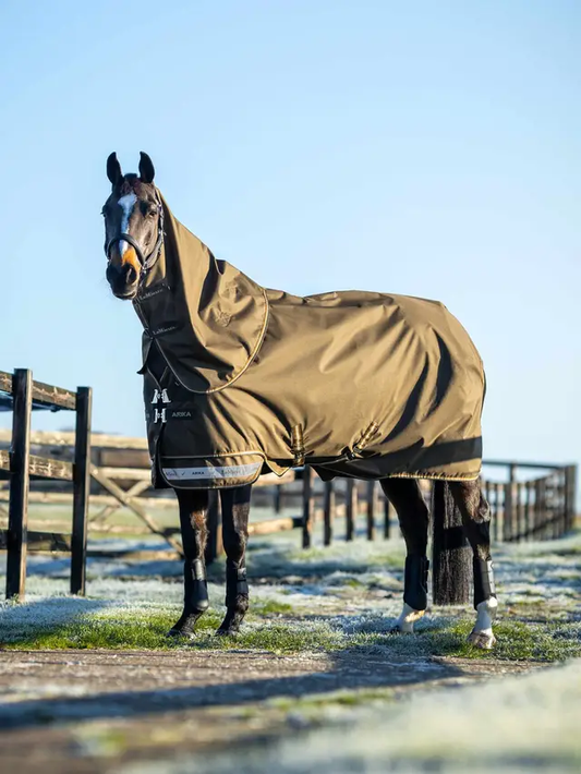 LeMieux Arika Ripstop turnout rug - 100g