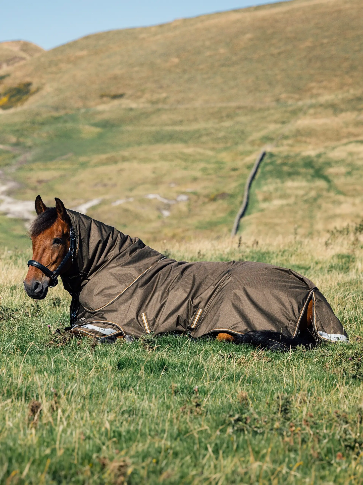 LeMieux Arika Ripstop turnout rug - 100g