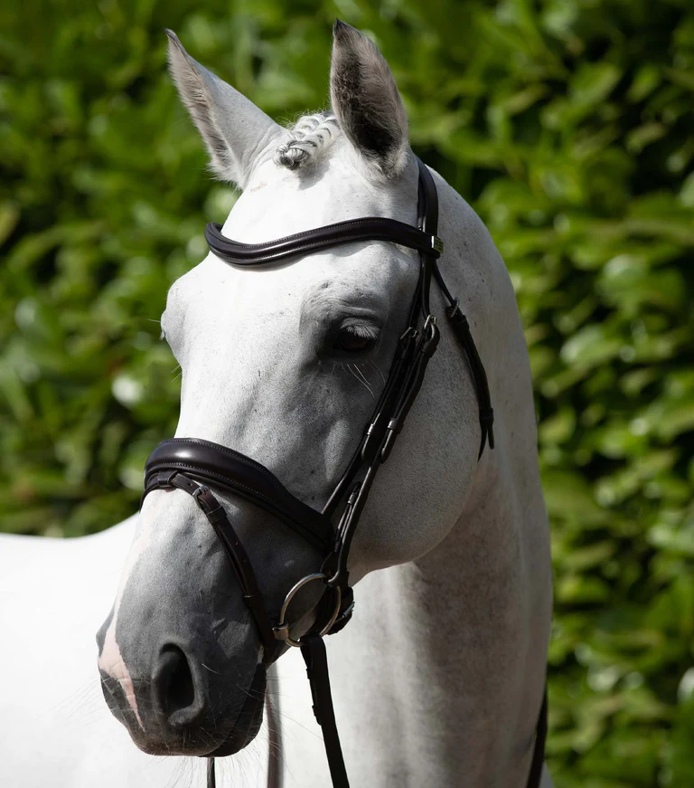 Premier Equine Lizzo anatomic snaffle bridle with flash