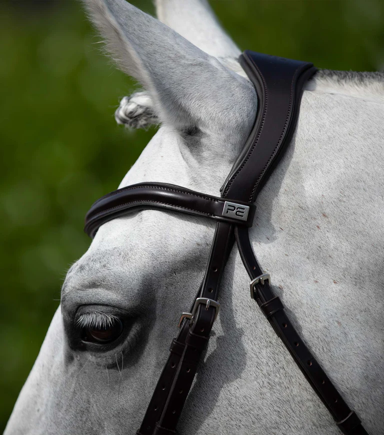 Premier Equine Lizzo anatomic snaffle bridle with flash