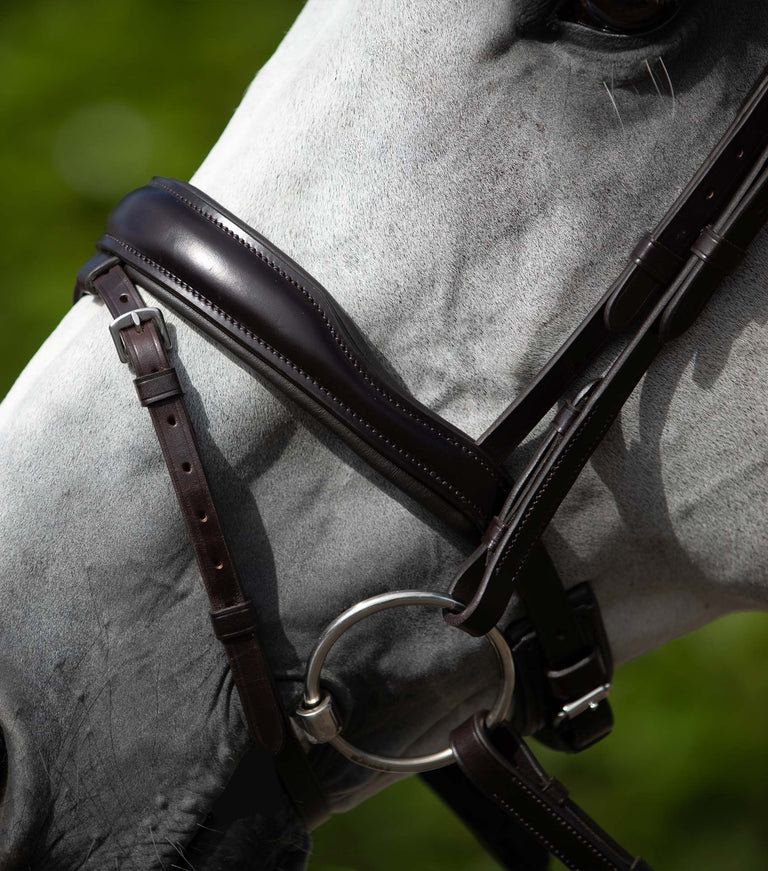 Premier Equine Lizzo anatomic snaffle bridle with flash